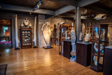 Hofgut Holzmühle, Westheim - Ausstellungen