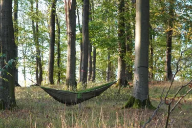 Hängematte grün
