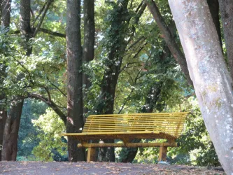 Ruhebank im Grünen