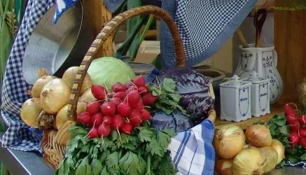 Zwiebeln und Radischen