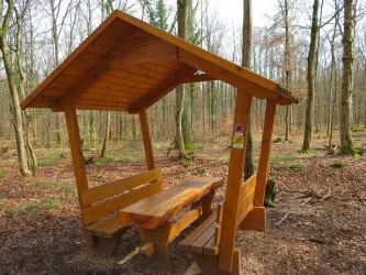 Eine Holzhütte mit Bänken und Tisch steht in einem Wald. Die Umgebung ist von Bäumen und fallenem Laub geprägt.