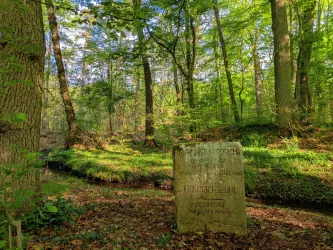Ein ruhiger Wald mit viel Grün und hohen Bäumen. Im Vordergrund steht ein Gedenkstein mit Inschrift.