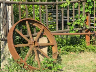 Ein altes, rostiges Wagenrad steht neben einem Zaun aus Holz. Der Hintergrund besteht aus grünen Pflanzen und Gras.