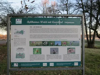 Infoschild Fauna und Flora Holzwiesen