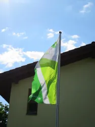 Wald Rheinland-Pfalz