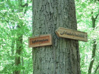 Hinweisschilder vom Queichtal-Radweg zur Wüstung