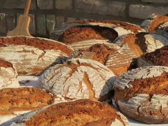 Frisch gebackenes Holzofenbrot