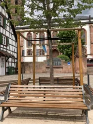 Eine Holzbank steht unter einem Baum auf einem Platz. Im Hintergrund sind historische Gebäude und eine ruhige Atmosphäre zu sehen.