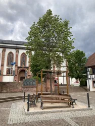 Ein schöner Platz mit einer großen, grünen Bank und einem Baum in der Mitte. Im Hintergrund sind historische Gebäude und eine bewölkte Himmel zu sehen.