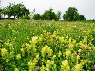 Dem Frühling auf der Spur