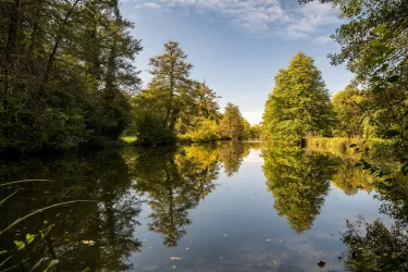 Bienwald - Wasserimpression