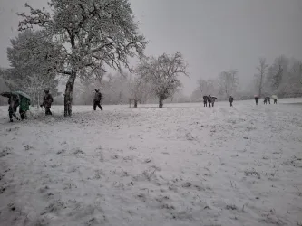 Eine verschneite Landschaft mit mehreren Personen, die im Schnee spazieren. Im Hintergrund sind schneebedeckte Bäume und ein Fußballtor zu sehen.