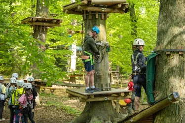 POI_Kandel_Fun_Forest-4, AbenteuerPArk Kandel