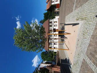 Friedenslinde 2.0