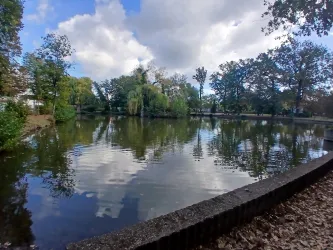 Ein ruhiger Teich mit spiegelndem Wasser und Bäumen im Hintergrund. Der Himmel ist teilweise bewölkt und es gibt schönes Licht.