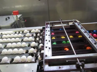 Eine Produktionslinie für Eier mit weißen und bunten Eiern. Die Eier werden auf Förderbändern transportiert.