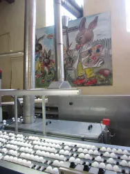 Eine Produktionsstätte mit einem Förderband, auf dem viele Eier liegen. Im Hintergrund ist ein bunter Wandmalerei mit einem Hasen, der Eier bemalt.