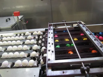 Eine Produktionslinie mit Eiern, die geordnet auf einem Förderband liegen. Auf der rechten Seite sind farbenfrohe, bemalte Eier sichtbar.