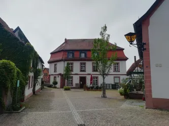 Ein ruhiger Platz in einer charmanten Altstadt. Im Vordergrund steht ein historisches Gebäude mit rotem Dach und grünen Pflanzen.