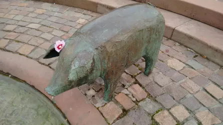 Ferkel Saubrunnen Kandel