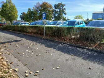 Ein Parkplatz mit mehreren Autos und schmalem Gehweg. Die Umgebung ist mit buntem Herbstlaub bedeckt.