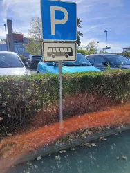 Ein Parkplatzschild mit dem Buchstaben "P" und einem Symbol für Busse. Im Hintergrund sind mehrere Autos und eine Hecke zu sehen.