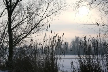 Naherholungsgebiet Sondernheim-8934
