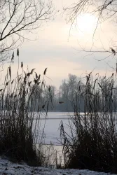 Naherholungsgebiet Sondernheim-8936