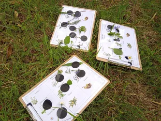 Drei Sammelhefte liegen auf dem Gras, gefüllt mit verschiedenen Pflanzen und Blättern. Die Hefte sind beschriftet und zeigen eine Vielzahl von botanischen Arten.