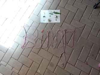 Ein pinkfarbener Faden ist auf dem Boden zu sehen und formt das Wort "BUNT". Darüber liegt ein Bild mit verschiedenen Pflanzen und Vögeln.