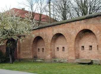 Frühling 09 Carnotsche Mauer 060401