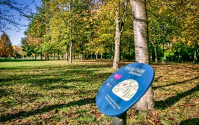 Sollachsee-Discgolf-Anlage-©Britta Hoff-0953