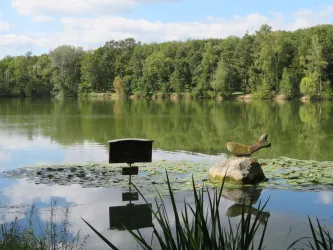 Blick über den Bärenweiher