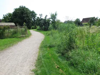 Brühlgraben - Weg gewunden