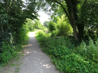 Brühlgraben im Sommer mit schattigem Weg