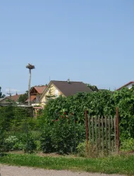 Brühlgraben mit Storchenhorst