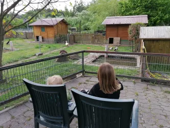 Kinder am Gehege (© Streichelzoo Rülzheim)