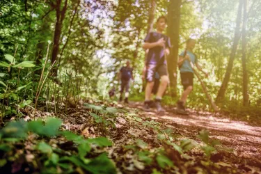 Eine Gruppe von Menschen wandert auf einem Waldweg. Grüne Pflanzen und Bäume umgeben den Pfad.