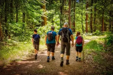 Eine Gruppe von vier Personen wandert auf einem Waldweg. Die Umgebung ist grün und sonnig, mit vielen Bäumen.