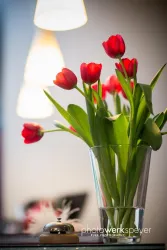 Apart_47393_©photowerkspeyer