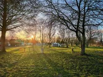 Ein Campingplatz mit Bäumen und Wohnmobilen in der Abenddämmerung. Die Sonne scheint durch die Äste und erhellt die grüne Wiese.