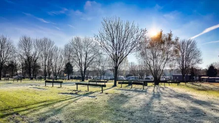 Eine frostige Wiese mit kahlen Bäumen und einem klaren blauen Himmel. Die Sonne scheint sanft und wirft lange Schatten auf den Boden.