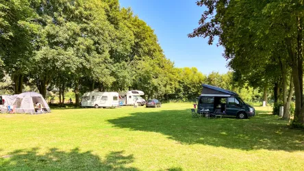 Ein Campingplatz mit mehreren Wohnmobilen und Zelten, umgeben von Bäumen. Die Wiese ist grün und der Himmel ist blau.