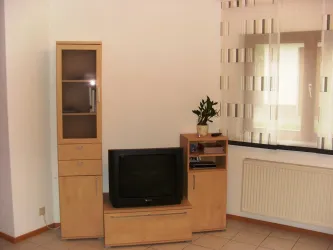 Multimedia
