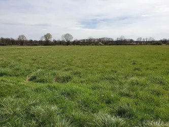 Wein- und Wiesenweg Minfeld-Freckenfeld