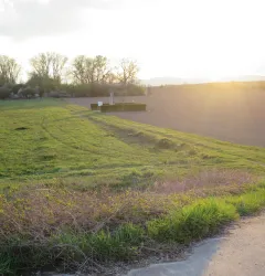 Blick auf den Klosterbogen von der Zufahrt aus