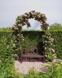 Ein schöner Garten mit einem Holzbank unter einem Rosenbogen. Umgeben von grünen Hecken und bunten Blumen.