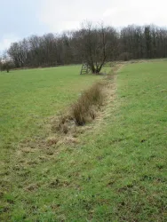 Rieselwiese mit Abflussrinne
