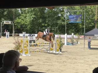 Ein Pferd springt über ein Hindernis bei einem Reitturnier. Im Hintergrund sind Zuschauer und weitere Turnierelemente sichtbar.