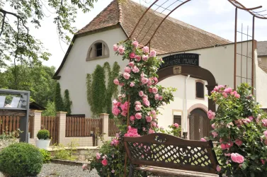 Ein charmantes Haus mit einer blühenden Rosenlaube und einer gemütlichen Bank im Garten. Die Umgebung ist grün und einladend.